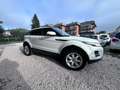 Land Rover Range Rover Evoque Range Rover Evoque  2012 5p 2.2 td4 Prestige 150cv Bianco - thumbnail 6