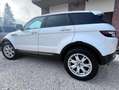 Land Rover Range Rover Evoque Range Rover Evoque  2012 5p 2.2 td4 Prestige 150cv Bianco - thumbnail 1