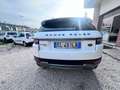 Land Rover Range Rover Evoque Range Rover Evoque  2012 5p 2.2 td4 Prestige 150cv Bianco - thumbnail 3