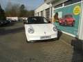 Ora Funky Cat 400 Pro+ ab 0,0% Finanz. Weiß - thumbnail 2
