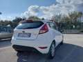 Ford Fiesta Fiesta VI 2013 5p 1.4 Business Gpl 95cv E6 Bianco - thumbnail 4