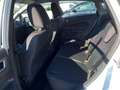 Ford Fiesta Fiesta VI 2013 5p 1.4 Business Gpl 95cv E6 Bianco - thumbnail 13