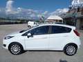 Ford Fiesta Fiesta VI 2013 5p 1.4 Business Gpl 95cv E6 Bianco - thumbnail 3