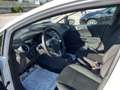 Ford Fiesta Fiesta VI 2013 5p 1.4 Business Gpl 95cv E6 Bianco - thumbnail 8