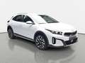 Kia XCeed XCEED 1.5 T-GDI DCT VISION MJ25 KOMFORT LED Weiß - thumbnail 3