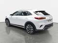Kia XCeed XCEED 1.5 T-GDI DCT VISION MJ25 KOMFORT LED Weiß - thumbnail 5