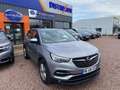 Opel Grandland Grandland X 1.6 CDTI - 120 - S\u0026S  X Business  - thumbnail 2