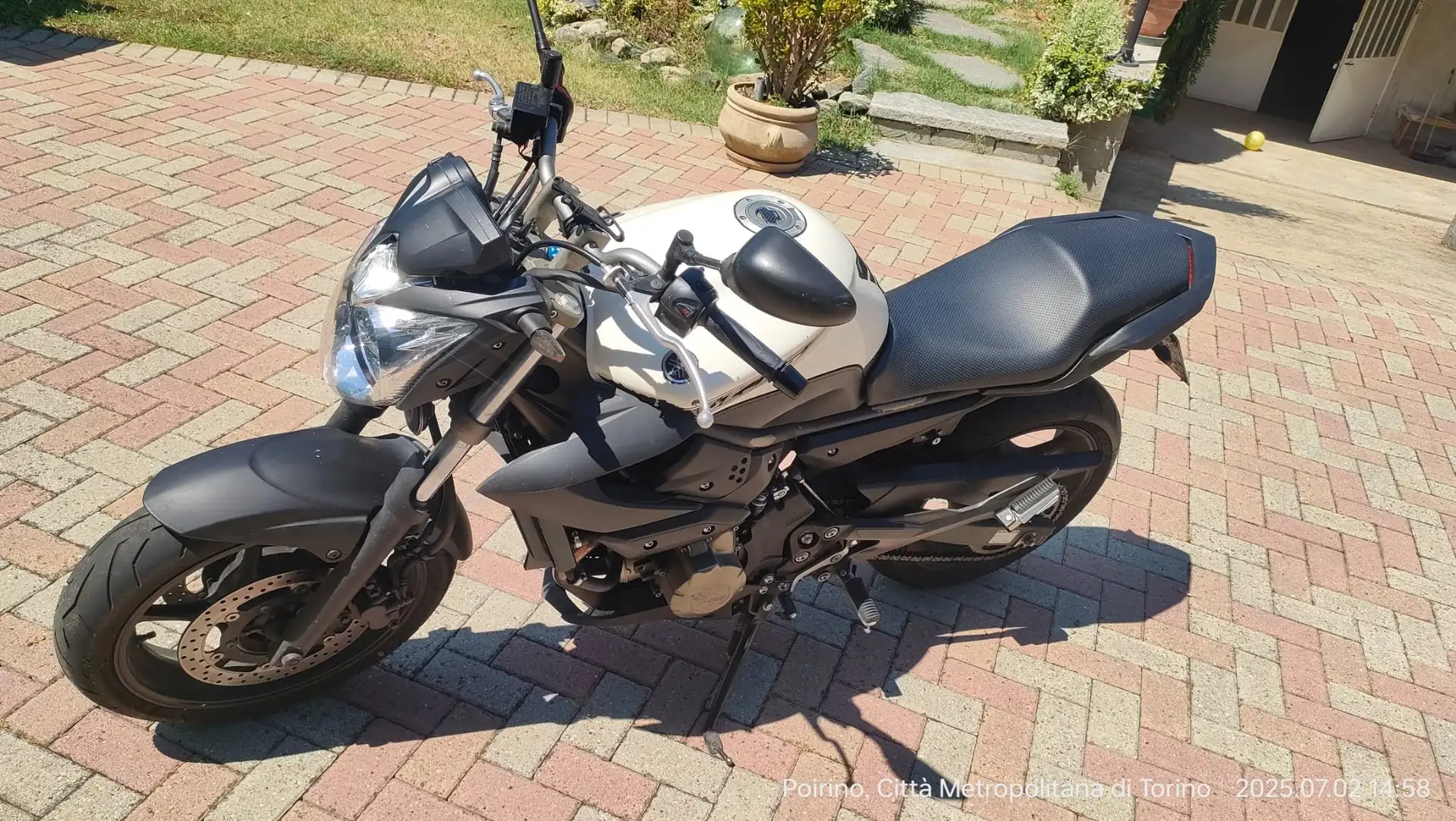 Yamaha XJ 6 Blanc - 1