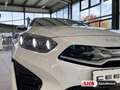 Kia Ceed SW / cee'd SW Sportswagon Plug-in Hybrid Spirit 1.6 EU6d Navi di Blanco - thumbnail 14