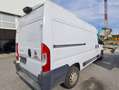 Fiat Ducato Ducato Multijet L2H2 Weiß - thumbnail 7