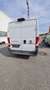 Fiat Ducato Ducato Multijet L2H2 Weiß - thumbnail 8