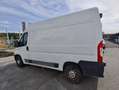 Fiat Ducato Ducato Multijet L2H2 Weiß - thumbnail 9