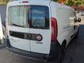 Fiat Doblo MAXI  | Minicamper | fux:box I Autozelt Weiß - thumbnail 13