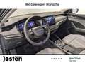 Skoda Octavia Combi Tour 2.0TDI AHK Fahrass. LichtSicht+ Winter+ Gris - thumbnail 8
