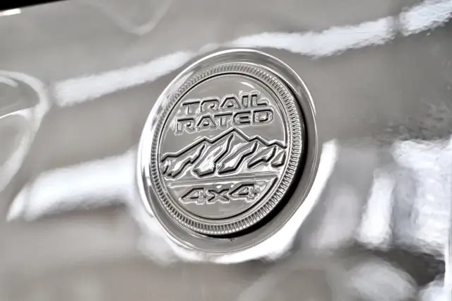 Jeep Wrangler Sahara Brute Ansicht 9