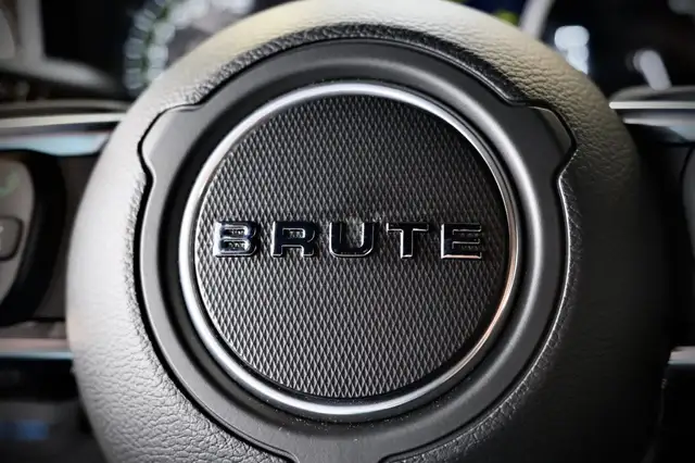 Jeep Wrangler Sahara Brute Ansicht 24