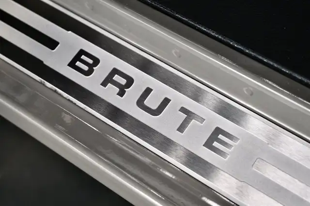 Jeep Wrangler Sahara Brute Ansicht 17