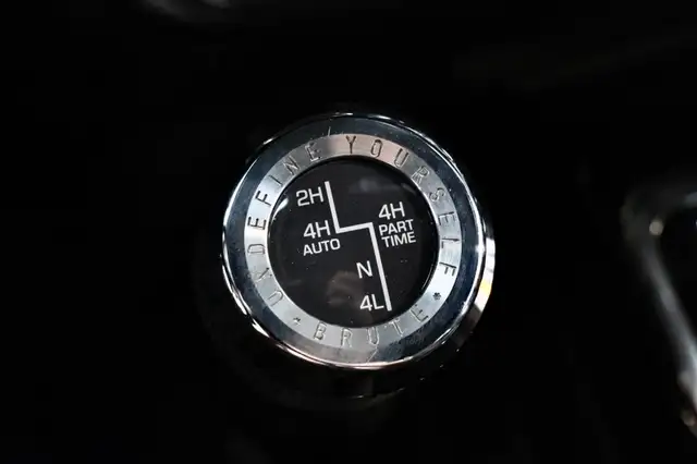 Jeep Wrangler Sahara Brute Ansicht 33