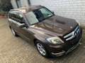Mercedes-Benz GLK 250 4Matic lückenlos MB Scheckheft Brown - thumbnail 19