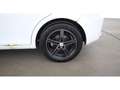 SEAT Leon 1.4 TSI Reference KLIMA-ANLAGE RADIO Weiß - thumbnail 24