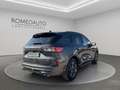 Ford Kuga 2.5 Plug In Hybrid 225 CV CVT 2WD ST-Line Gris - thumbnail 6
