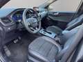 Ford Kuga 2.5 Plug In Hybrid 225 CV CVT 2WD ST-Line Gris - thumbnail 10