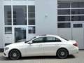 Mercedes-Benz E 300 9G Avantgarde DESIGNO *MULTIBEAM*SHD*KAME* Weiß - thumbnail 15