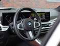 BMW X5 40D xDrive High Executive *Sky*Soft-Close*Trekhaak Blanco - thumbnail 29