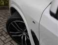BMW X5 40D xDrive High Executive *Sky*Soft-Close*Trekhaak White - thumbnail 5