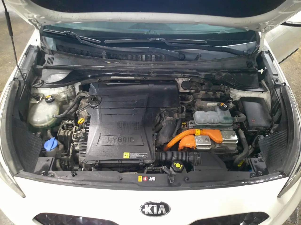 Kia Niro photo Kia Niro