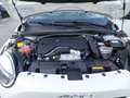 Fiat 600 Hybrid ICON T-Gen3 110Ps Weiß - thumbnail 19