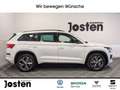 Skoda Kodiaq Sportline 2.0 TSI DSG 4X4 AHK CarPlay Weiß - thumbnail 2