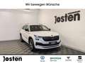 Skoda Kodiaq Sportline 2.0 TSI DSG 4X4 AHK CarPlay Weiß - thumbnail 1