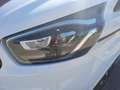 Ford Transit Custom Kasten 2.0 TDCi 310 L1 Sport ACC Bianco - thumbnail 7