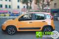 Fiat Panda 1.0 FireFly S&S Hybrid City Life Orange - thumbnail 9