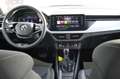 Skoda Kamiq Tour DSG Nav/LED/SmartLink/PDC/Kamera Weiß - thumbnail 11