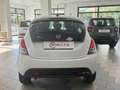 Lancia Ypsilon Ypsilon 1.2 Elefantino Blu Gomme Nuove Bianco - thumbnail 5