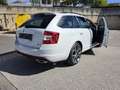 Skoda Octavia 2.0 TDI DPF RS 4x4 Green tec Weiß - thumbnail 43