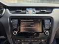 Skoda Octavia 2.0 TDI DPF RS 4x4 Green tec Weiß - thumbnail 26