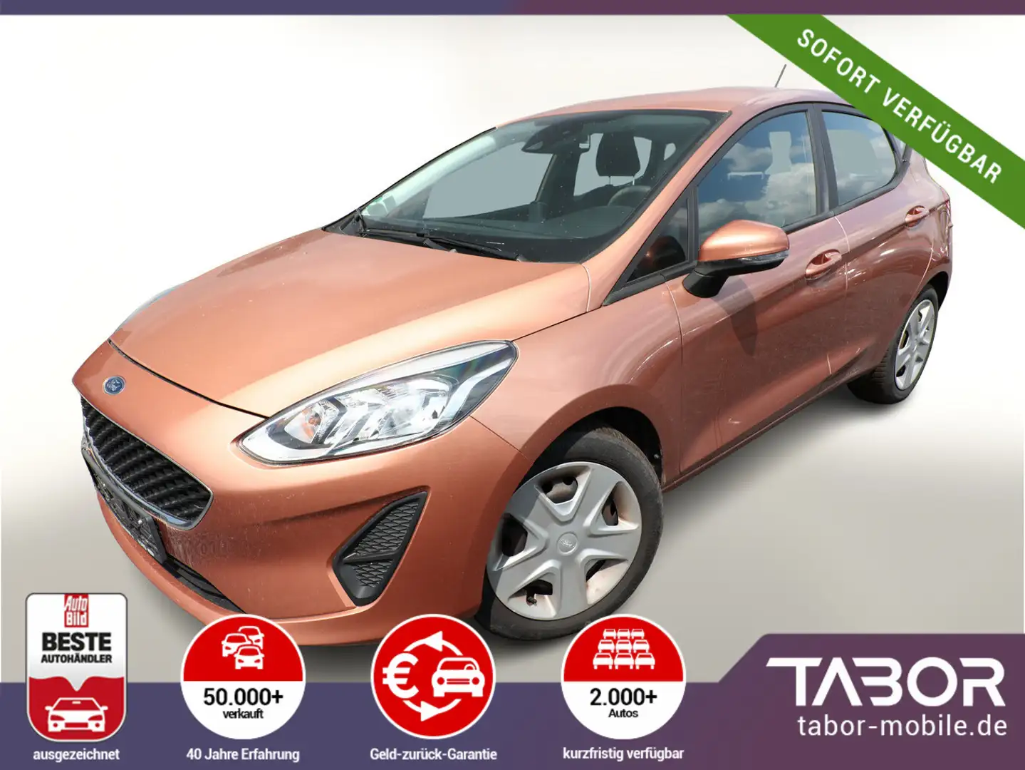 Ford Fiesta 1.0 EB 100 Cool & Connect SHZ PDC LaneAs Braun - 1