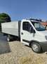 Iveco Daily Bianco - thumbnail 5