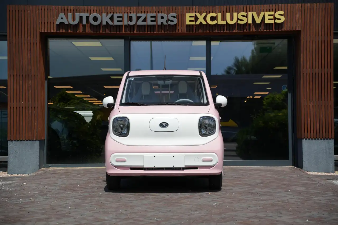 Other Model not specified 2025