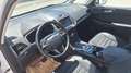 Ford Galaxy Hybrid Titanium Weiß - thumbnail 5