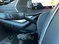 Skoda Octavia Combi 2,0 TDI Style DSG | NP: €49.500 Grau - thumbnail 47