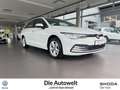 Volkswagen Golf VIII Variant Life 2.0 TDI DSG NAVI LED ACC Klima Weiß - thumbnail 1