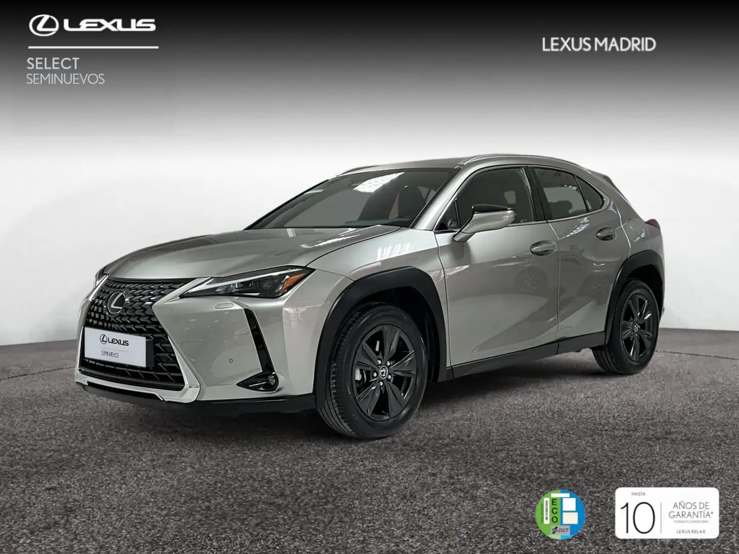 Lexus UX 300h 2.0  Plus - 1