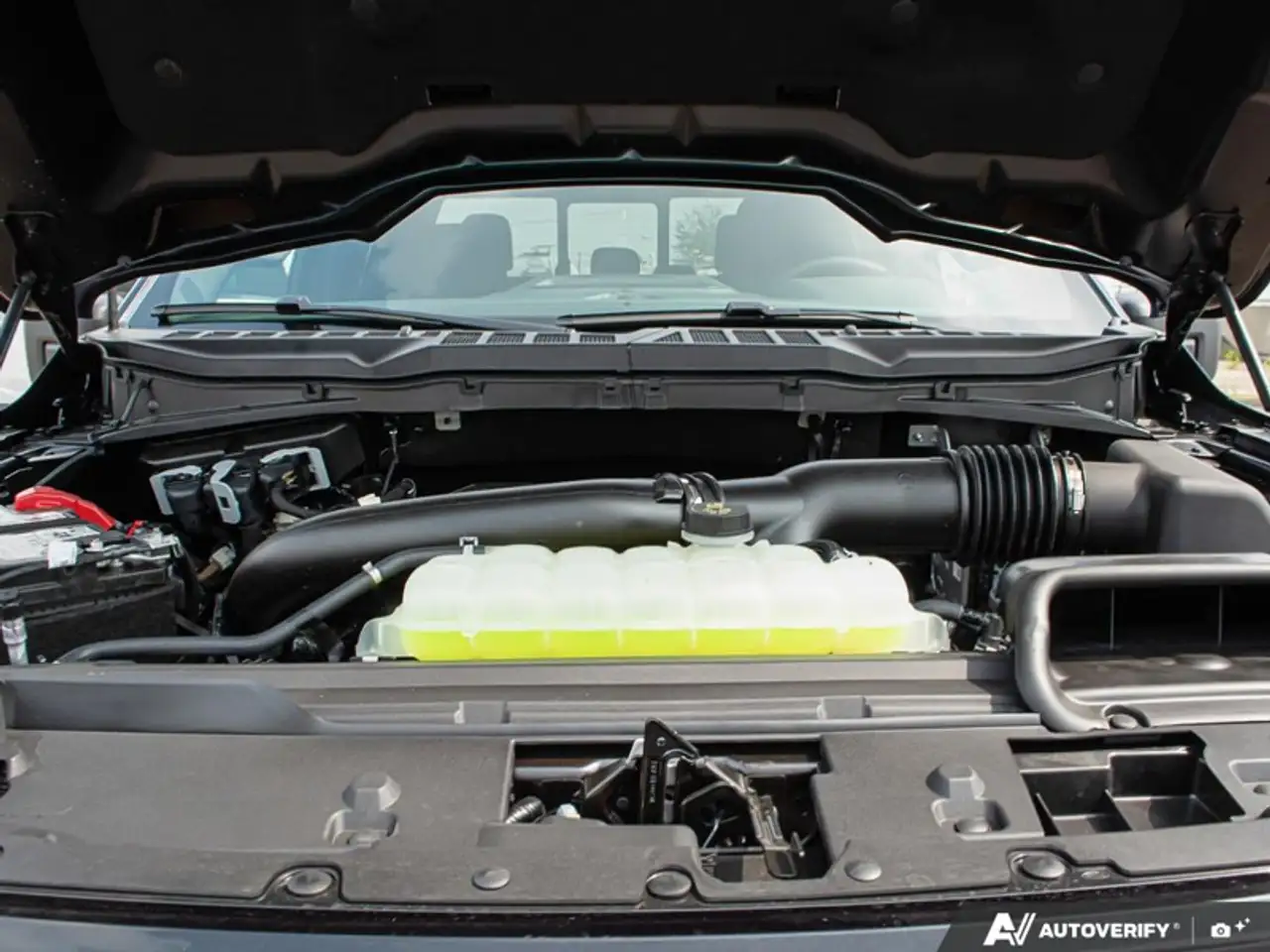 Ford F 150 fotografie Ford F 150