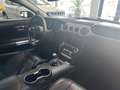 Ford Mustang V8 MANUALE 5.0 V8 Ti-VCT GT Schwarz - thumbnail 9
