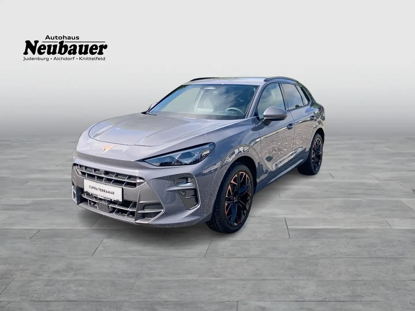 CUPRA Terramar 2.0 TSI 204 PS DSG 4Drive Grau - 1