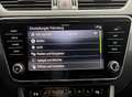 Skoda Superb Kombi 2,0 TDI 4x4 Style DSG Allrad Weiß - thumbnail 14